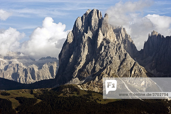 Blick über die Seiser Alm auf den Langkofel  hinten die Sella-Gruppe  Dolomiten  Südtirol  Italien  Europa