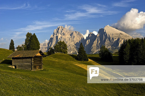 Blick über die Seiser Alm auf den Langkofel und Plattkofel  Dolomiten  Südtirol  Italien  Europa
