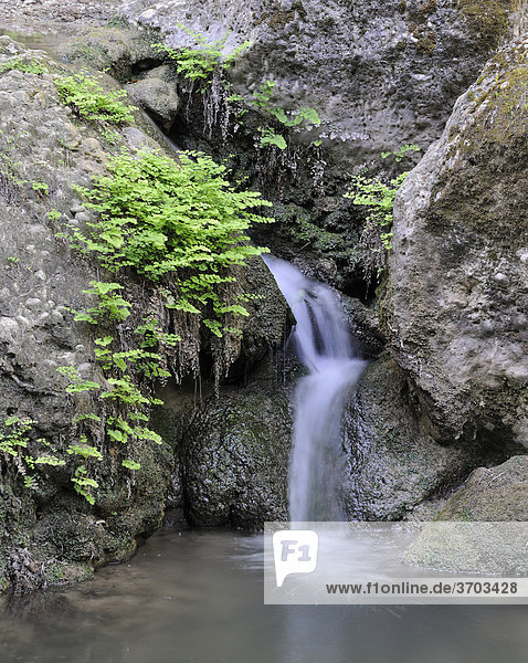 Kleiner Wasserfall im Schmetterlingstal  Petaloudes  Rhodos  Griechenland  Europa