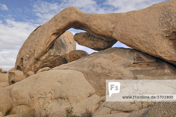Arch Rock  Monzogranit-Formation  Joshua Tree Nationalpark  Palm Desert  Kalifornien  USA