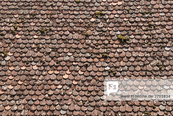 Dacheindeckung mit alten Biberschwanz-Ziegeln  Detail  Rothenburg ob der Tauber  Bayern  Deutschland  Europa