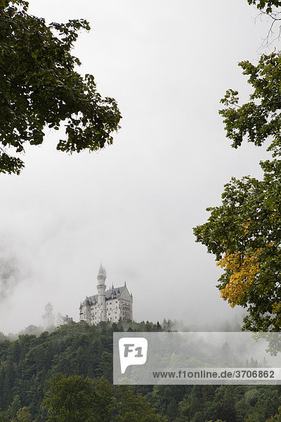 Neuschwanstein Castle in fog  Bavaria  Germany