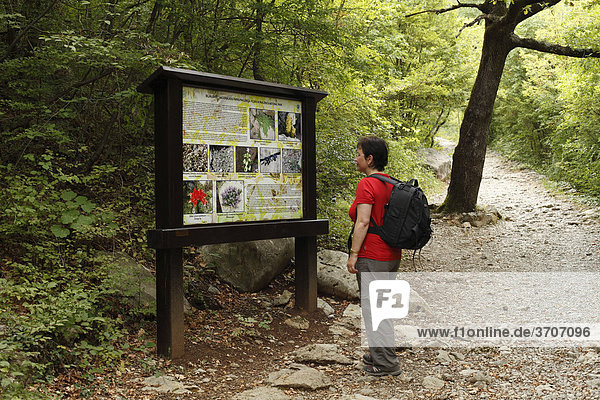 Frau mit Rucksack vor Info-Tafel  Velika-Paklenica-Schlucht  Nationalpark Paklenica  Velebit-Gebirge  Dalamtien  Kroatien  Europa