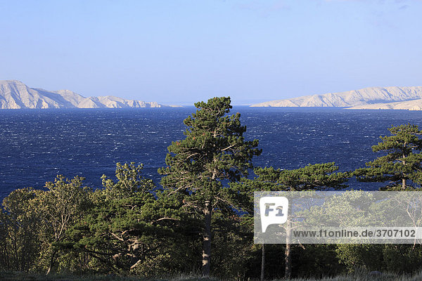 Küste vor Senj  Blick auf Inseln Prvic und Krk  Kvarner Bucht  Adria  Kroatien  Europa