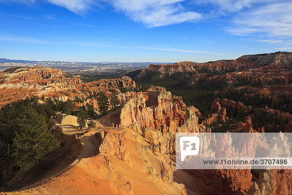 Blick in den Bryce Canyon  Utah  USA  Nordamerika