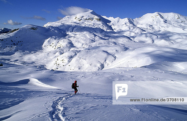 Snowshoe walker in front of Monte Sella de Sennes  2787m  Sennes alpine pasture  Fanes-Senes-Prags Nature Park  Dolomites  South Tyrol  Italy  Europe