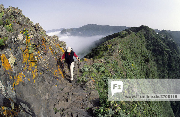 Hiker on a basalt ridge covered with lichen at the Roque de Taborno rock formation  Taborno  Tenerife  Canary Islands  Spain  Europe