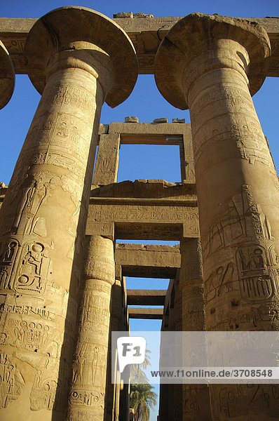 Säulen auf der Tempelanlage von Karnak  Luxor  Nubien  Ägypten  Afrika
