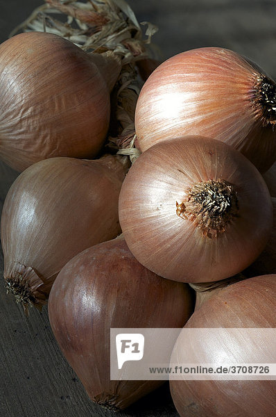 Onions from Roscoff  Brittany  known for their mild taste
