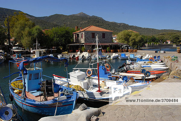 Kleine Fischerboote im kleinen Hafen von Skala Sikaminia  Insel Lesbos  Ägäis  Griechenland  Europa