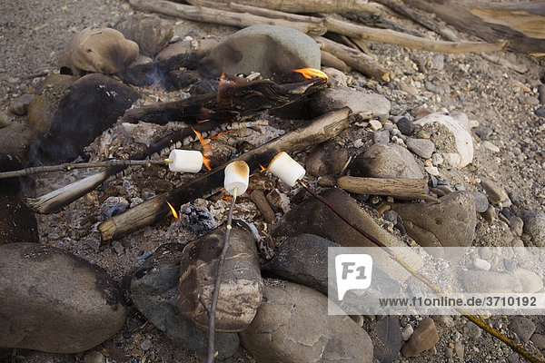Marshmallows rösten am Spieß  Lagerfeuer  Feuer  oberer Liard River Fluss  Yukon Territory  Kanada