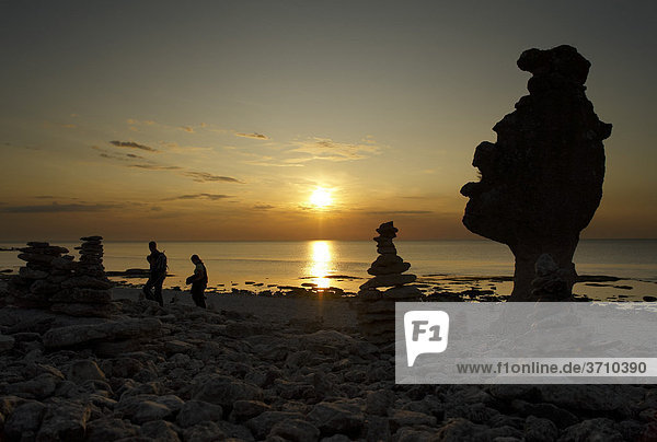 Rauks in the sunset  limestone columns on Gotland Island  Sweden  Scandinavia  Europe