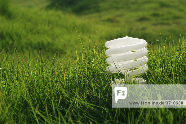 Energiesparlampe auf grünem Gras
