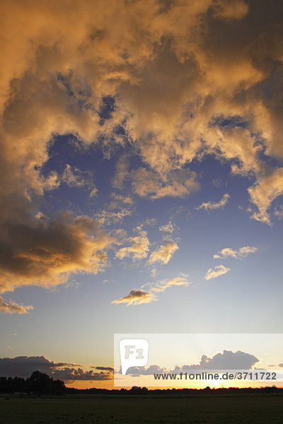 Dramatischer Himmel mit von unten angestrahlten Wolken im letzten Abendlicht bei Sonnenuntergang  Landschaft im Naturschutzgebiet Oberalsterniederung  Tangstedt  Schleswig-Holstein  Deutschland  Europa