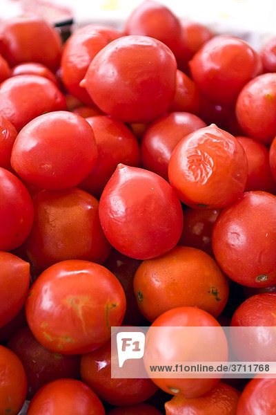 Pachino Tomaten  kleine rote Kirschtomaten aus dem Süden Italiens  Italien  Europa