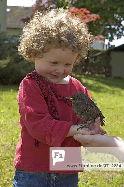 Kleines Mädchen freut sich über einen Vogel in ihrer Hand
