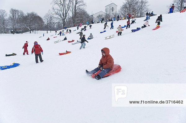 Children are sledging down a hilll