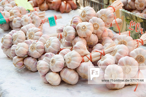 Knoblauch