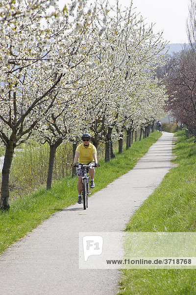 Bicycle route along the Triesting valley near the village of Pottenstein Lower Austria