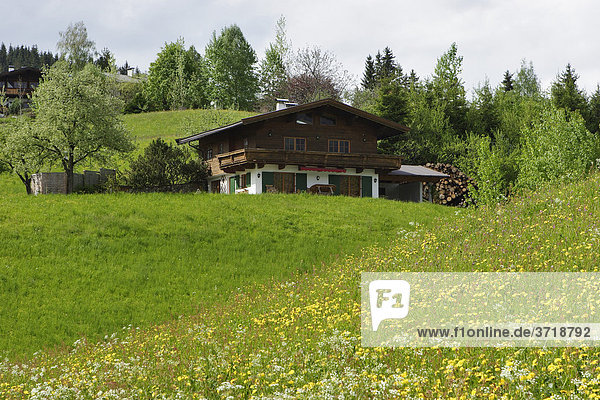 Wohnhaus mit Wiese in Kitzbühel Tirol Österreich