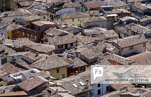 Blick über die Dächer der Altstadt von Malcesine am Gardasee  Italien