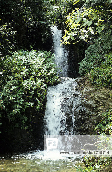 Waterfall in rainforest  Dominican Republic