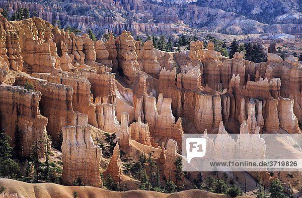 Rock formations at Bryce Canyon  Utah  USA
