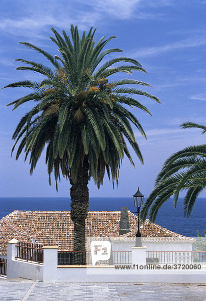 Dorfplatz mit Palmen in San Andres auf La Palma  Kanarische Inseln  Spanien