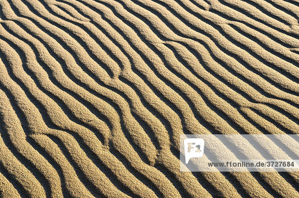 Wellen im Sand der White Sand Dunes  vietnamesische Sahara Bau Ba  Bao Trang  White Lake  Vietnam  Asien