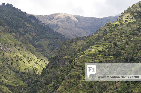 Blick zum Tal Lombo das Tercas von der Levada Nova  Madeira  Portugal
