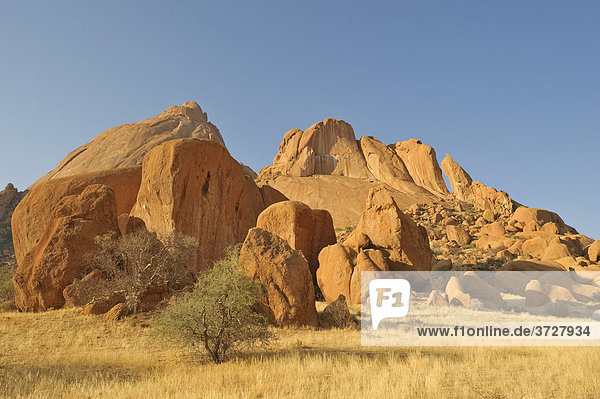 Landschaft mit Granitfelsen um die Spitzkoppe  Namibia  Afrika