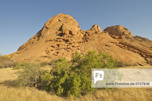 Landschaft mit Granitfelsen um die Spitzkoppe  Namibia  Afrika