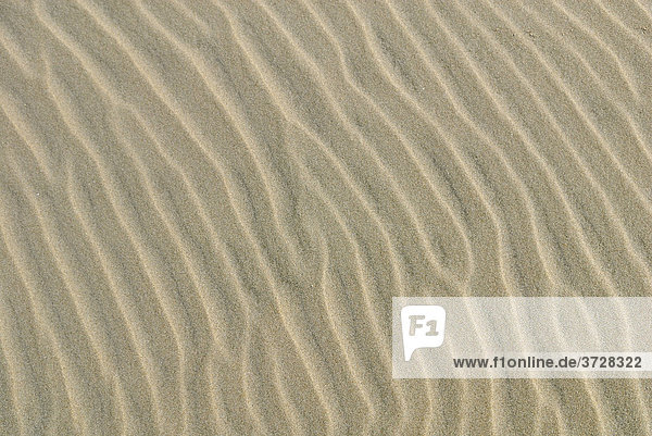 Sandstruktur am Strand  waschbrettartig  vom Wind erzeugt