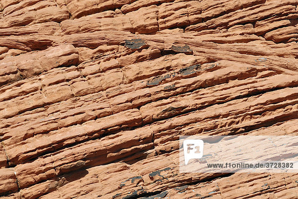 Sandsteinstruktur der Beehives  Valley of Fire State Park  Nevada  USA