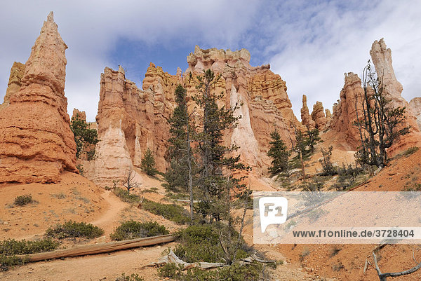 Limestone formation  Hoodoos  Bryce Canyon National Park  Utah  USA