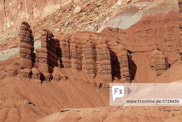 Felstürme und -rippen  Sandsteinlagen in verschiedenen Rottönen  Moenkopi Formation  Scenic Drive  Capitol Reef National Park  Utah  USA