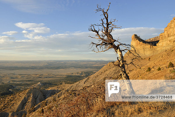 Blick vom North Rim des Mesa Verde National Park am Park Point Overlook in Richtung Cortez  Colorado  USA