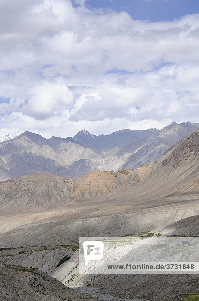 Oasen am Nebenfluss des Shyok im Nubratal  Gerstenanbau auf ca. 4000 müNN  Ladakh  Jammu und Kashmir  Nordindien  Indien  Asien