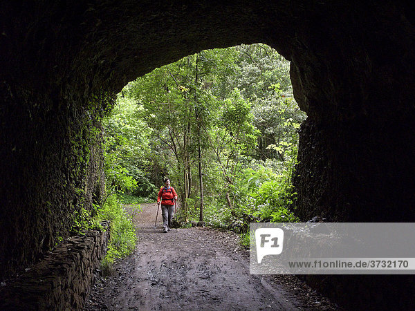 Frau wandert in Tunnel im Lorbeerwald  Biosphärenreservat El Canal y Los Tilos  La Palma  Kanaren  Kanarische Inseln  Spanien Biosphärenreservat