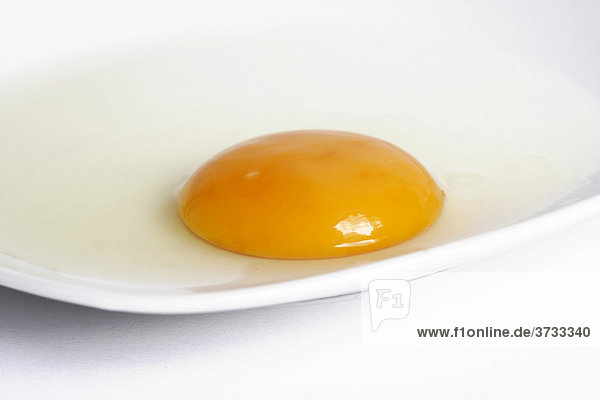 Rohes aufgeschlagenes Ei auf Teller  Eigelb