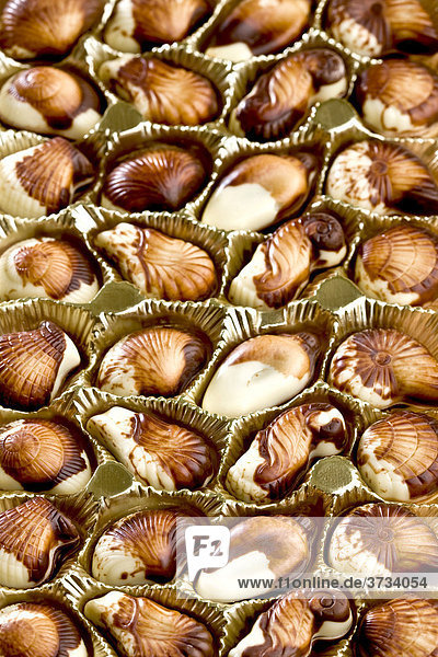 Belgische Meeresfrüchte aus Schokolade