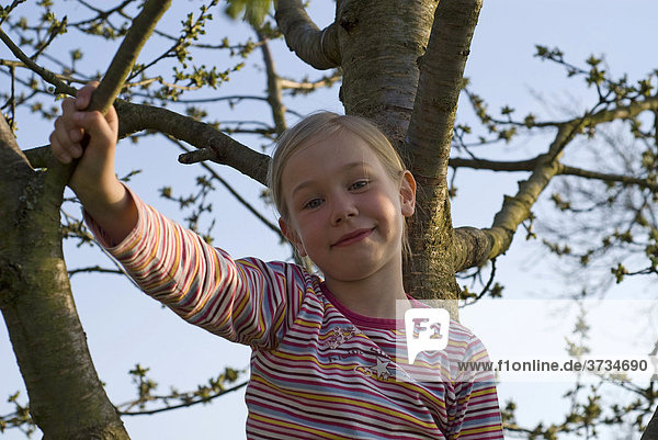 Mädchen  6 Jahre  ist in einen Kirschbaum geklettert