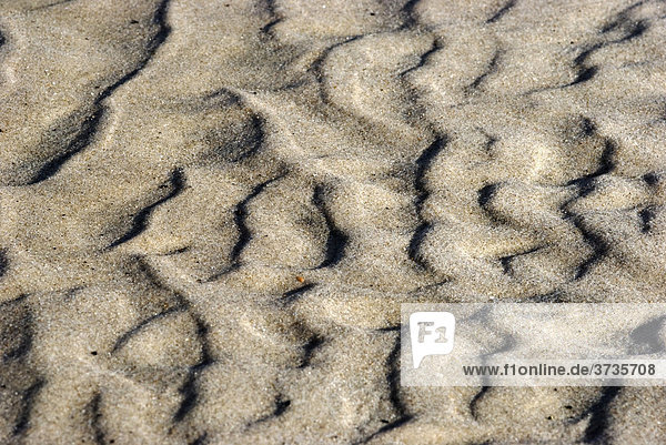 Sandstrukturen  durch Wellen und Wind erzeugt  Nordsee  Dänemark  Europa