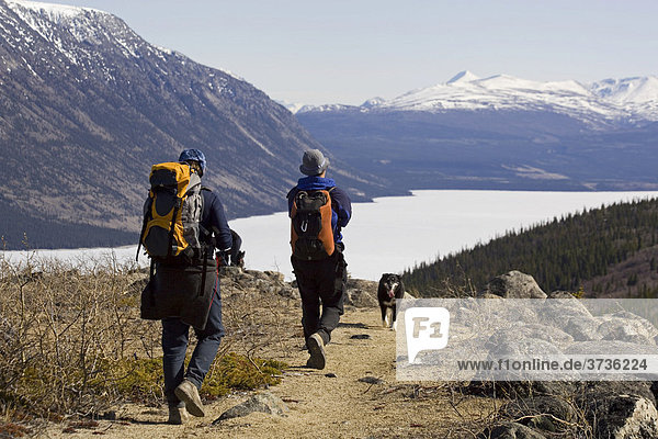 Wandergruppe mit Rucksäcken vor dem vereisten Kusawa See und Bergen  Yukon Territory  Kanada  Nordamerika