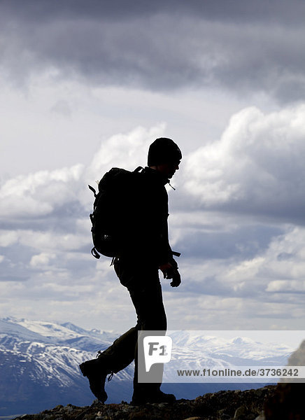 Silhouette of a young woman hiking  Mt. Lorne  Mountains  Pacific Coast Ranges behind  Yukon Territory  Canada  North America