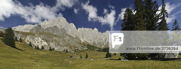 Mountain landscape with rock formations and coniferous trees  Alps  Berchtesgaden Alps  Hochkoenig Mountain  Salzburg  Austria  Europe