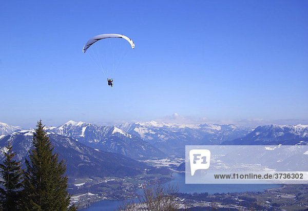Paraglider paragliding near Lake Wolfgang  Salzburg  Austria  Europe
