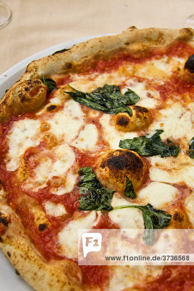 Neapolitanische Pizza Margharita mit Büffel-Mozzarella  Spezialität aus Neapel  Kampanien  Italien  Europa