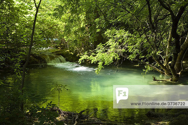 Stilles Gewässer  Krka Nationalpark  Dalmatien  Kroatien  Europa