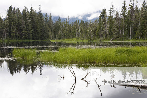 Crane Lake bei Petersburg  Tongass National Forest  Mitkof Island  Südost-Alaska  Alaska  USA  Nordamerika